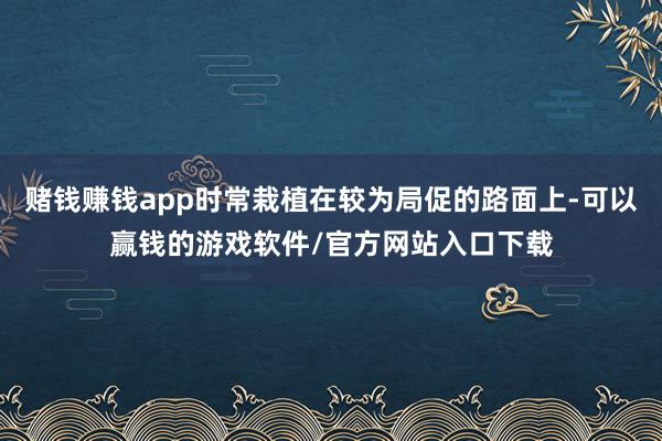 赌钱赚钱app时常栽植在较为局促的路面上-可以赢钱的游戏软件/官方网站入口下载